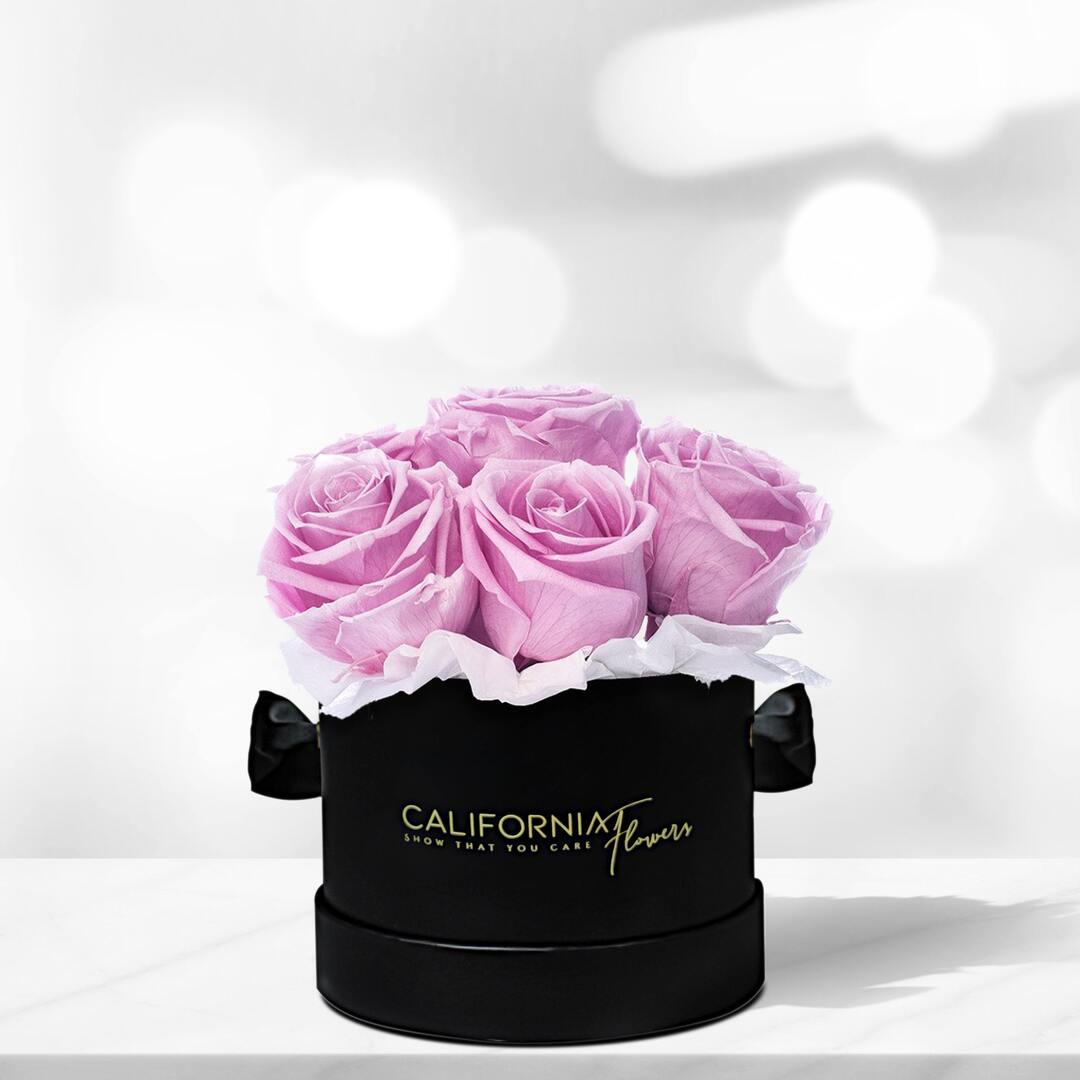 Black box with 11 purple roses