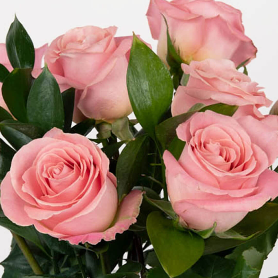 Arrangement in a vase with 9 pink roses