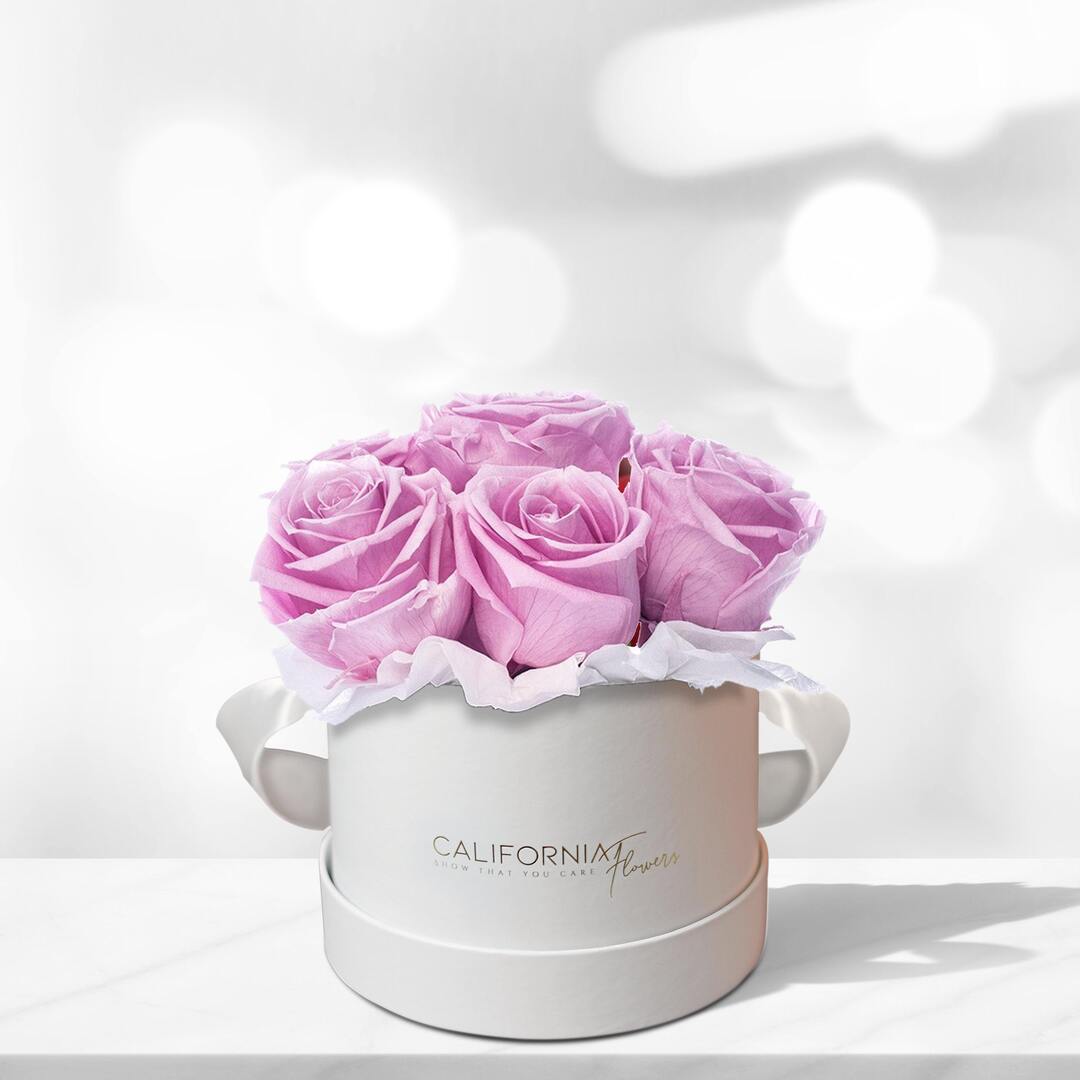 White box with 11 purple roses